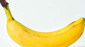 Large image on homepages | Vitalii Turchyn / Dreamstime