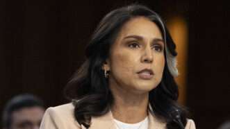 Tulsi Gabbard, Director of National Intelligence (DNI) appears before the US Senate Select Committee on Intelligence hearing to examine worldwide threats in the Hart Senate Office Building in Washington, DC, on Tuesday, March 25, 2025. | Mattie Neretin - CNP/Sipa USA/Newscom